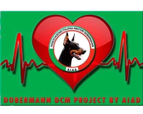 Dobermannn Heart project by AIAD